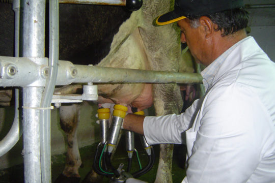 azienda-agricola-il-merangolo-montebuono-7